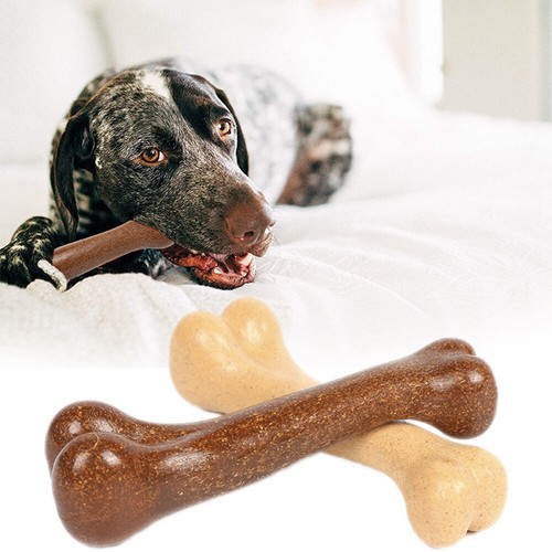 Dog chew strong - dog,