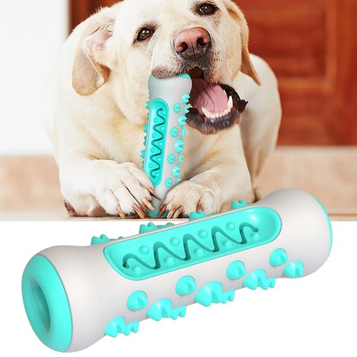 Pet puppy dog teething teeth - pet,