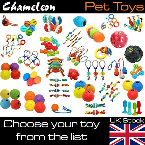 Pet dog toys multiple choice - pet,
