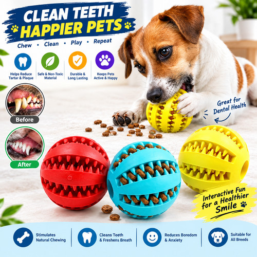 Interactive dog toy - interactive,