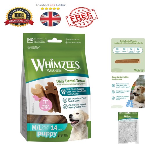 Daily dental care - dental, treats