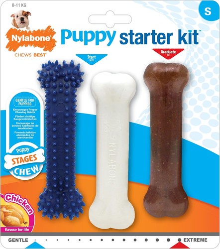 Nylabone puppy starter - nylabone,