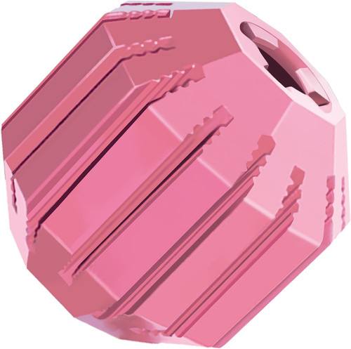 Kong puppy activity - puppy,