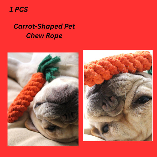 Carrot shaped pet chew - chew, rope