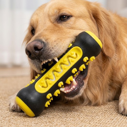 Dog toothbrush chew - dog, toy