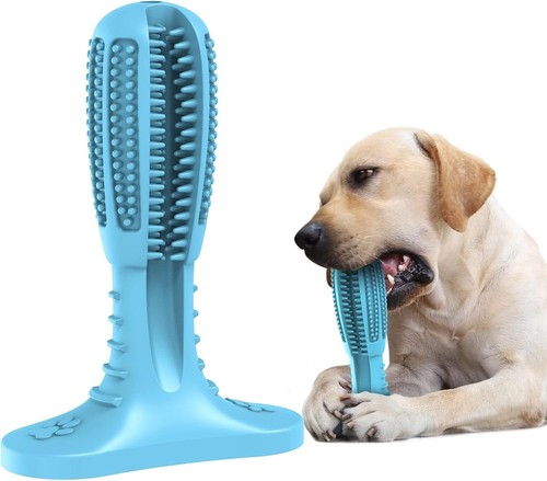Dog toys toothbrush - toys,