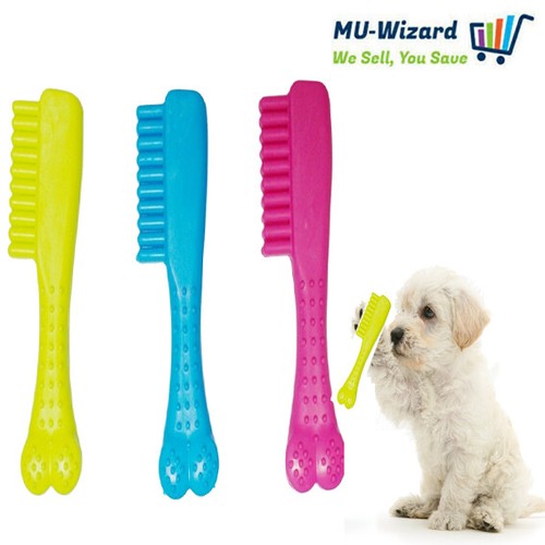Small dog pet - small, safety