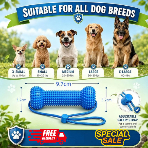 Dual action dog dental chew - dual,