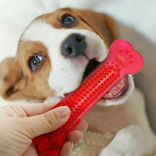 Durable rubber dog chew toy - rubber,