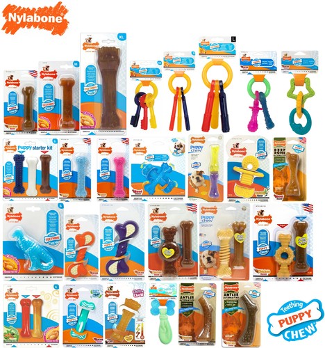 Nylabone puppy teething tough - nylabone,