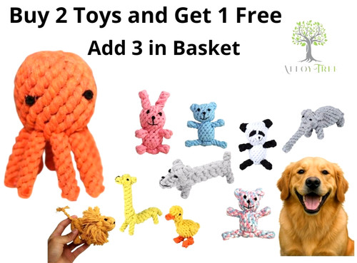 Pet dog chew - pet,
