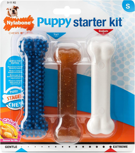 Puppy starter kit - puppy, kit,