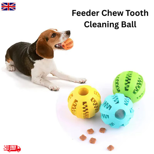 Interactive dog treat - interactive,