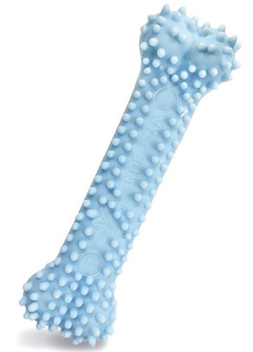 Nylabone puppy dental chew - chew,