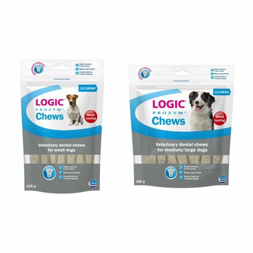 Dog pet dental - dental, teeth