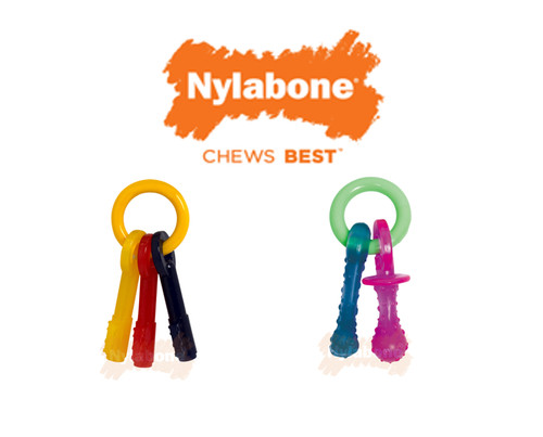 Nylabone puppy teething tough - puppy,